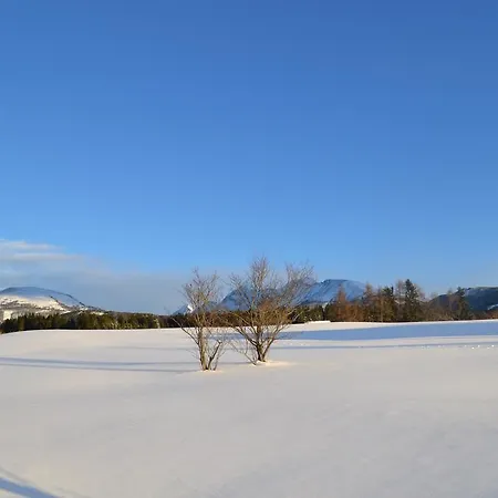 Διαμέρισμα Weitgasser