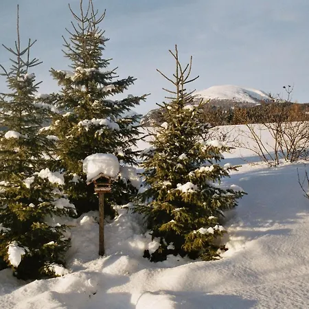 Weitgasser Mariapfarr