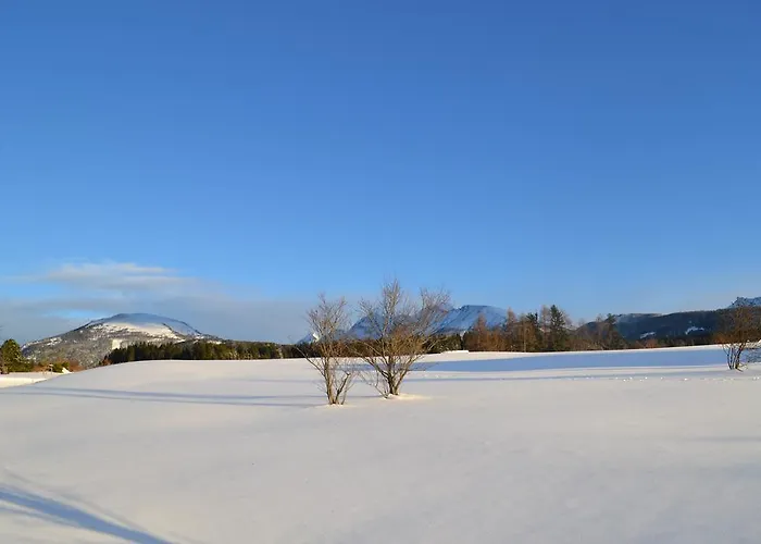 Appartement Weitgasser