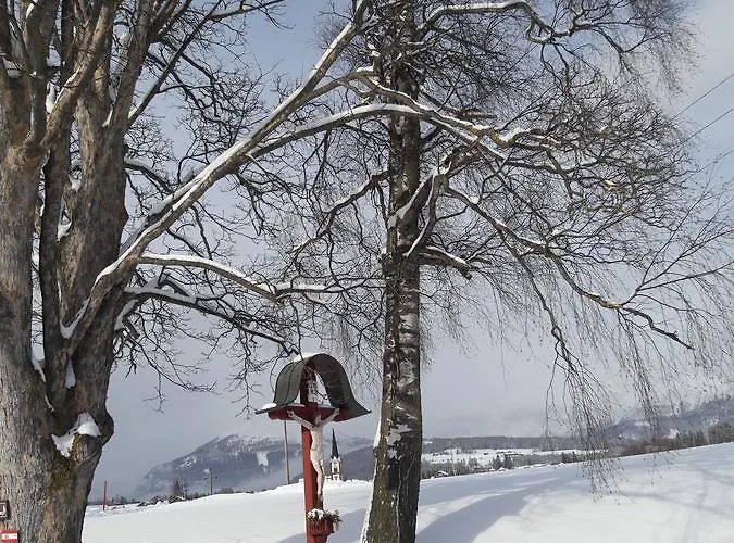 Weitgasser Appartement *