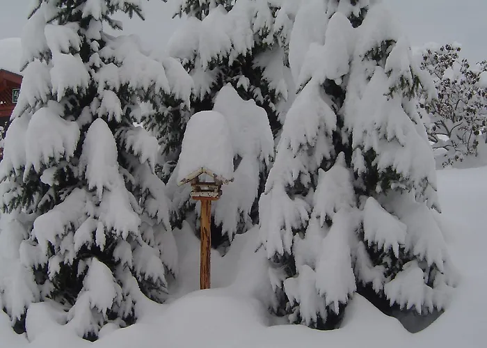 Appartement Weitgasser Mariapfarr